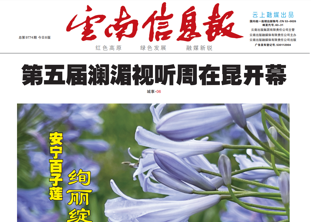 云南信息报登报联系电话